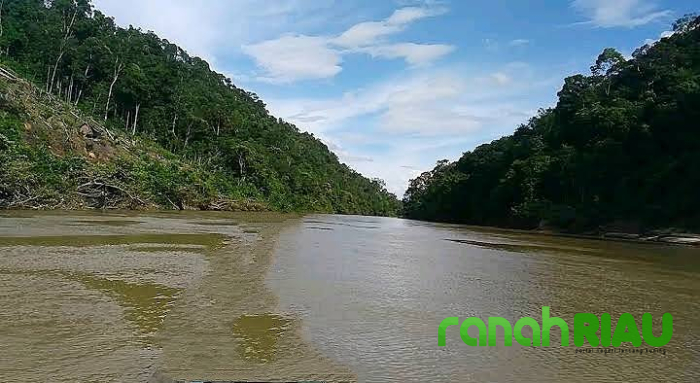 Mahasiswa Komunitas UIN Mengajar ditemukan di Sungai Indragiri dalam keadaan Meninggal Dunia